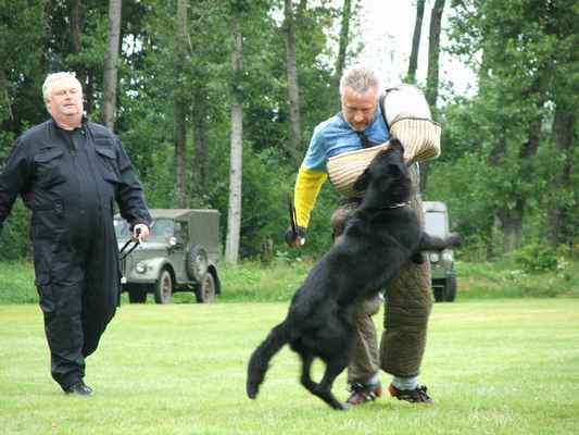 dscf2715.jpg